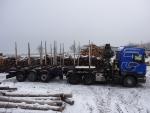 Lastebil til tømmer Scania R420 LA6x4,návěs Svan |  Transportmaskinutstyr | Trebearbeidingsmaskiner | JANEČEK CZ 